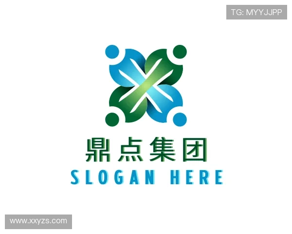 解读鼎点集团